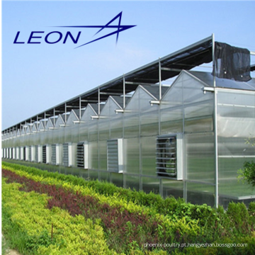 Estufa oca de policarbonato Leon Series para a agricultura